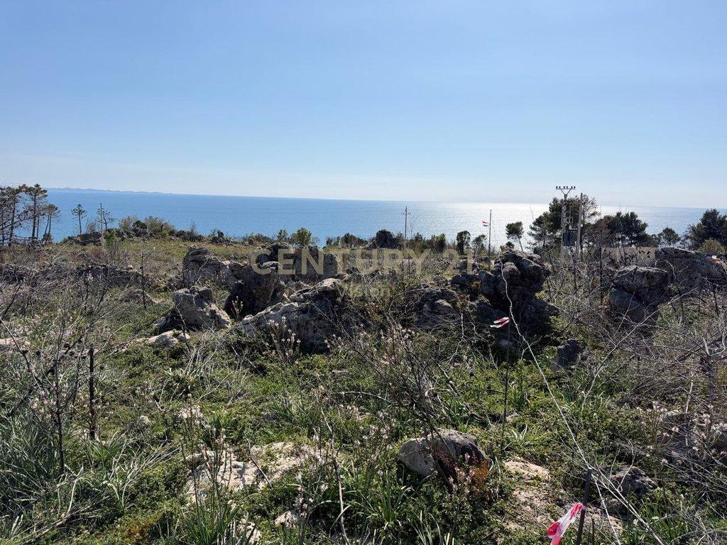 Shitet Tokë tek Rana e Hedhun, Shëngjin
